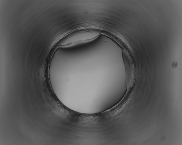 X0000089360826200707131613