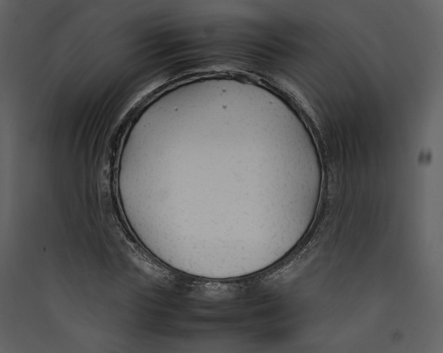 X0000089360827200707131613