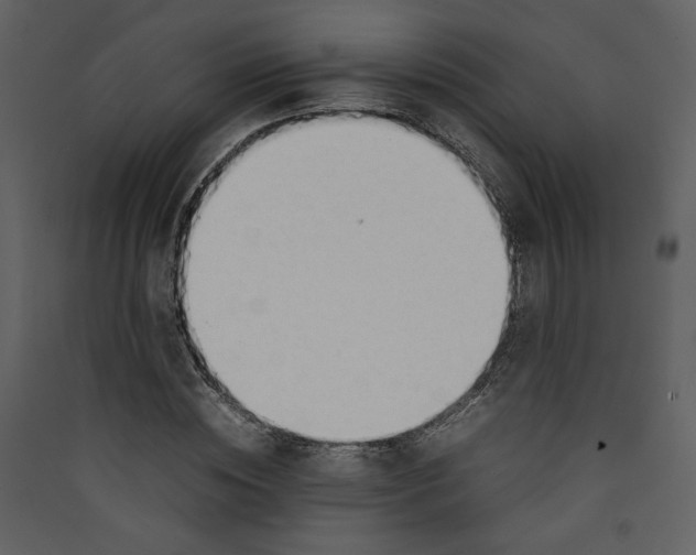 X0000089360828200707131613