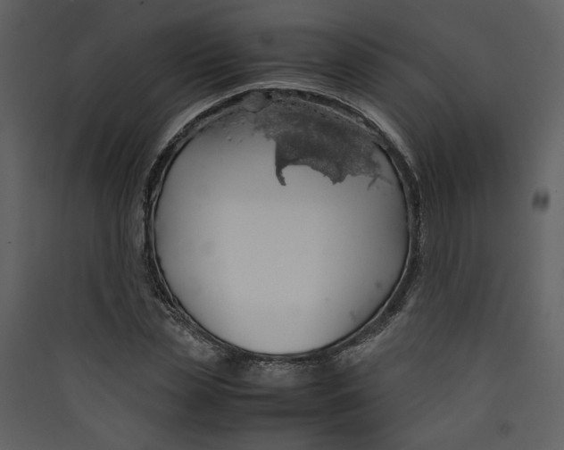 X0000089360829200707131613