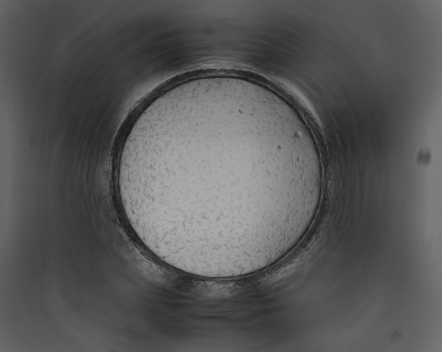 X0000089360831200707131613