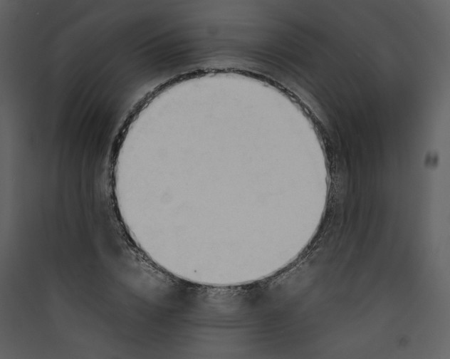 X0000089360832200707131613
