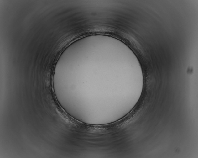 X0000089360833200707131613