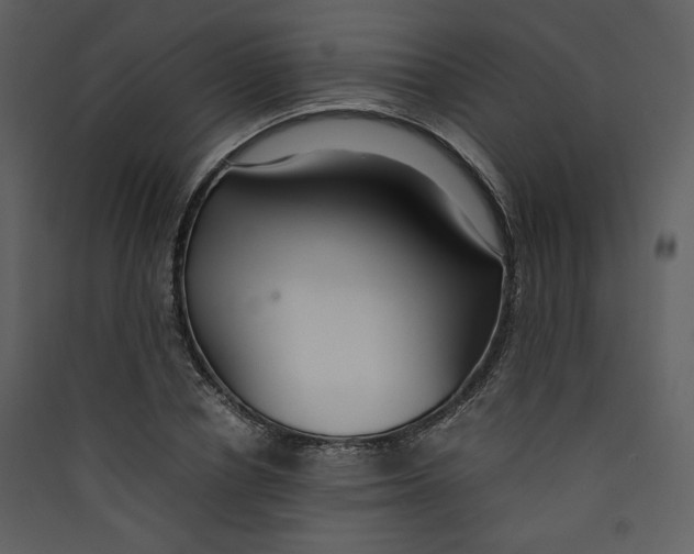 X0000089360834200707131613
