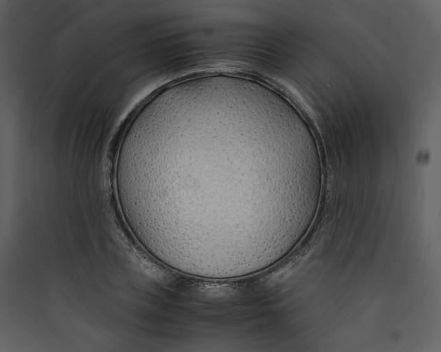 X0000089360835200707131613