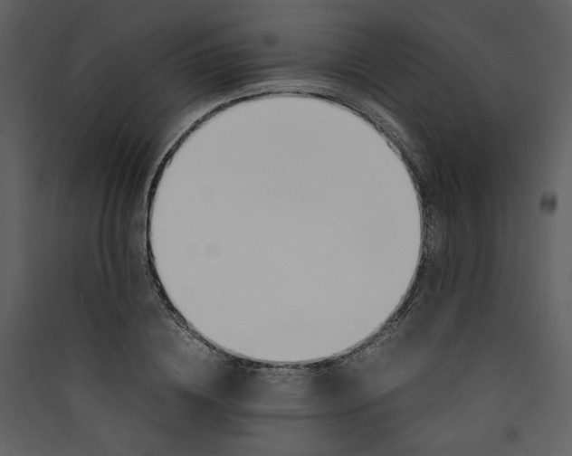 X0000089360836200707131613