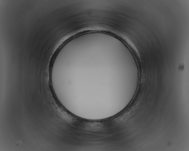X0000089360837200707131613
