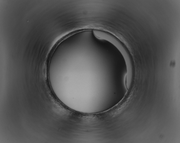 X0000089360838200707131613