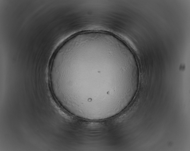 X0000089360839200707131613