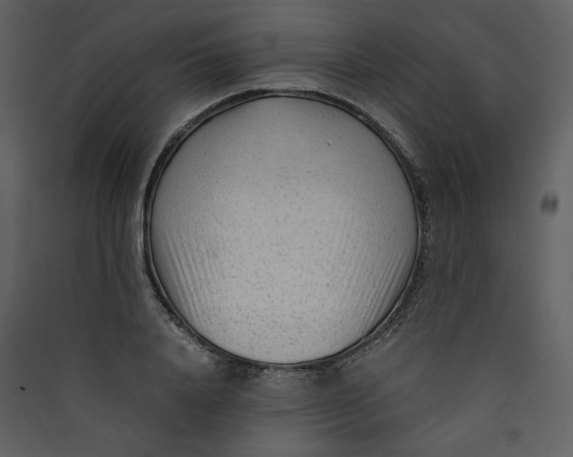 X0000089360840200707131613