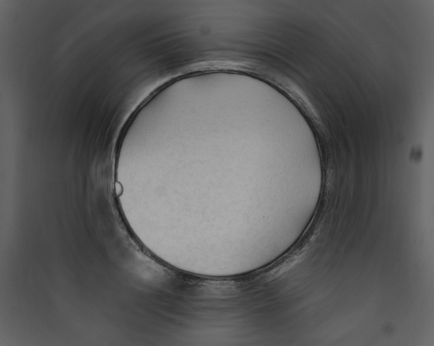 X0000089360844200707131613