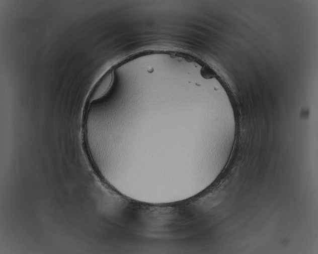 X0000089360845200707131613
