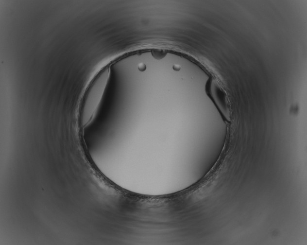 X0000089360846200707131613