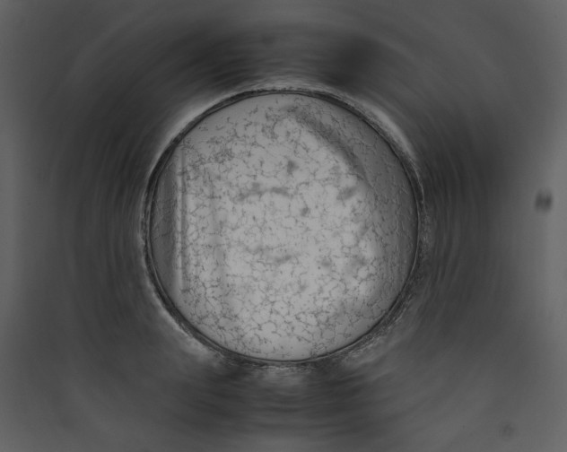 X0000089360847200707131613