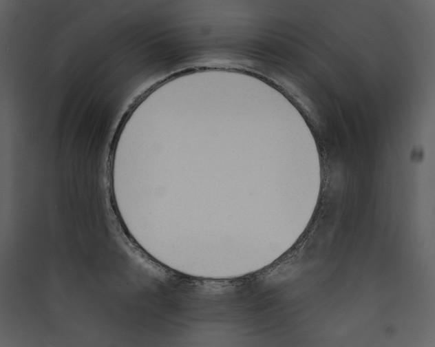 X0000089360848200707131613
