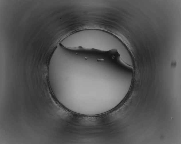 X0000089360849200707131613