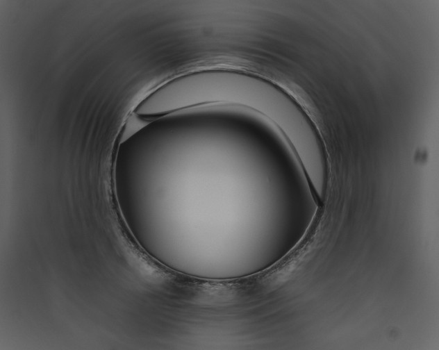 X0000089360850200707131613