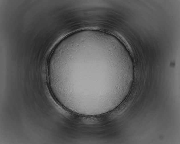 X0000089360851200707131613