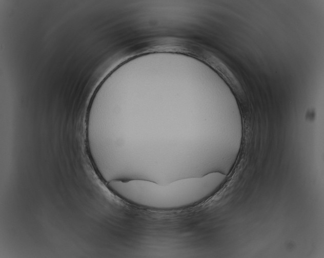 X0000089360852200707131613