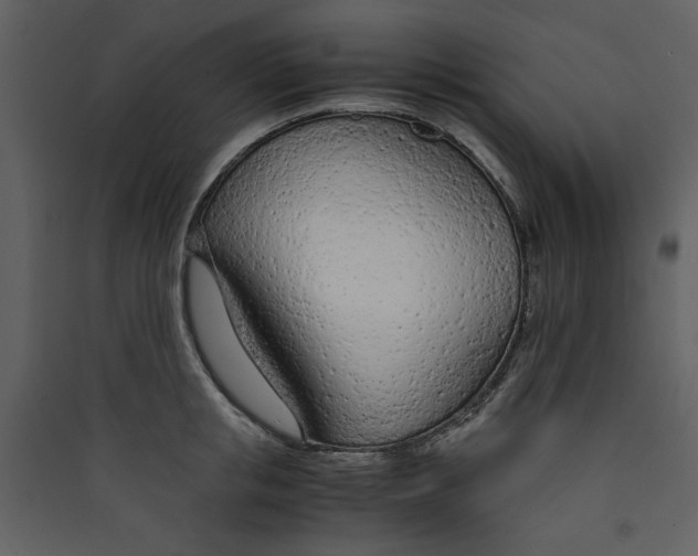 X0000089360853200707131613