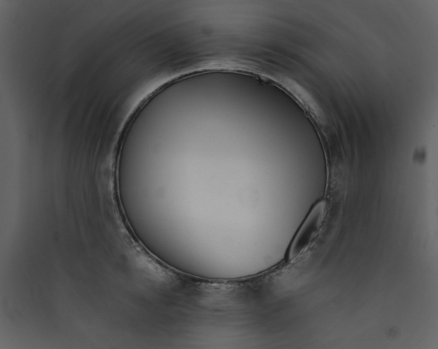 X0000089360854200707131613
