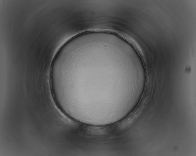 X0000089360855200707131613