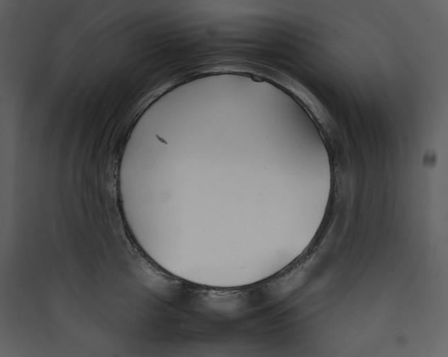 X0000089360857200707131613