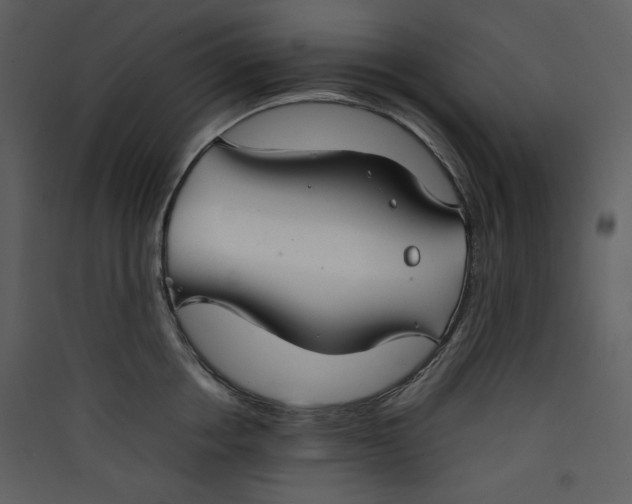 X0000089360858200707131613