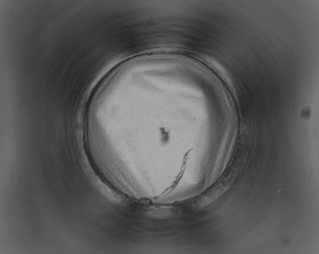 X0000089360859200707131613