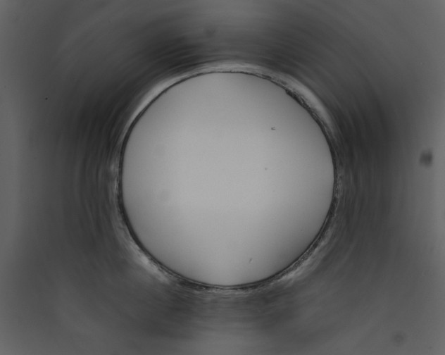 X0000089360860200707131613