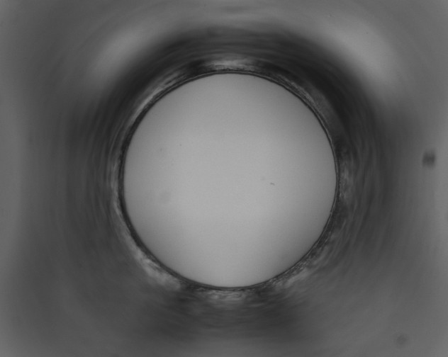 X0000089360861200707131613
