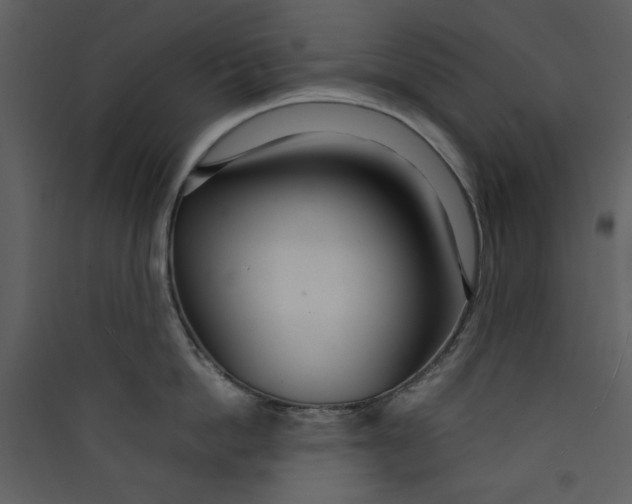 X0000089360862200707131613