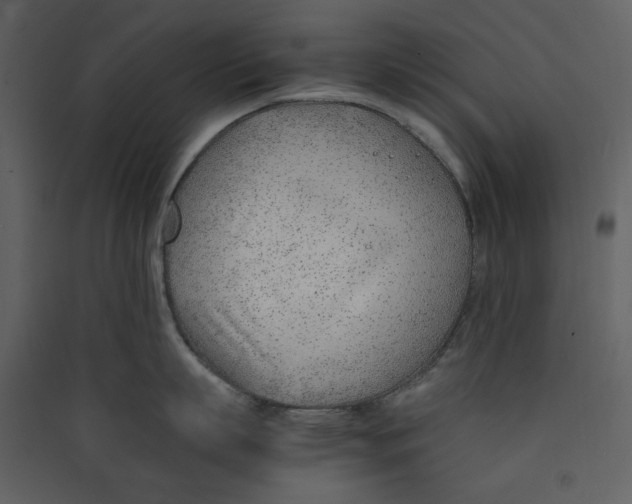 X0000089360863200707131613