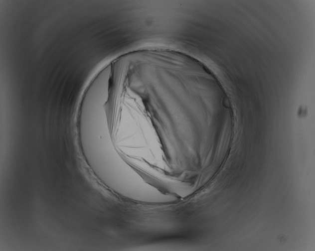 X0000089360864200707131613