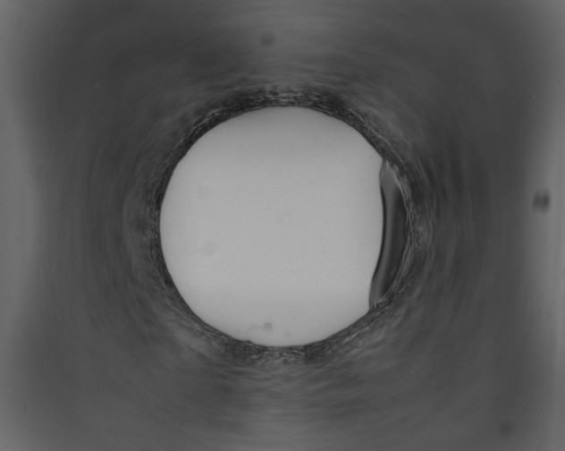 X0000089360865200707131613