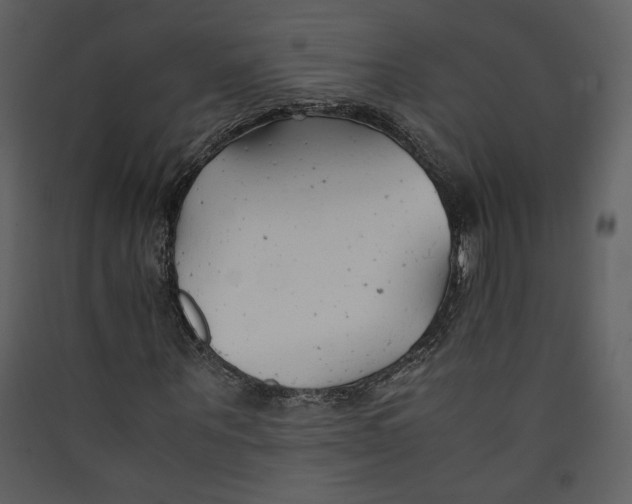 X0000089360867200707131613