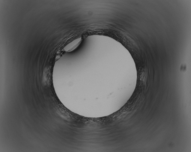 X0000089360868200707131613