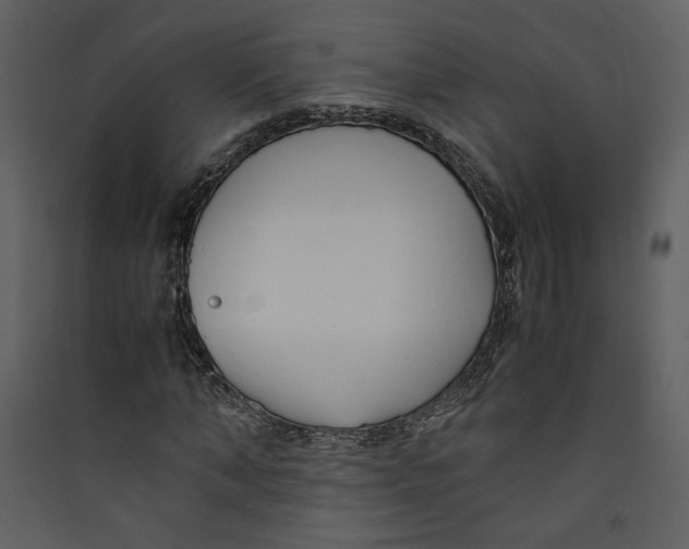X0000089360870200707131613