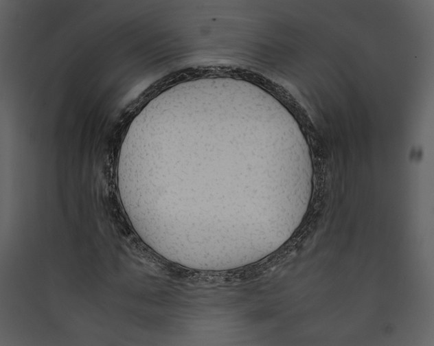 X0000089360871200707131613