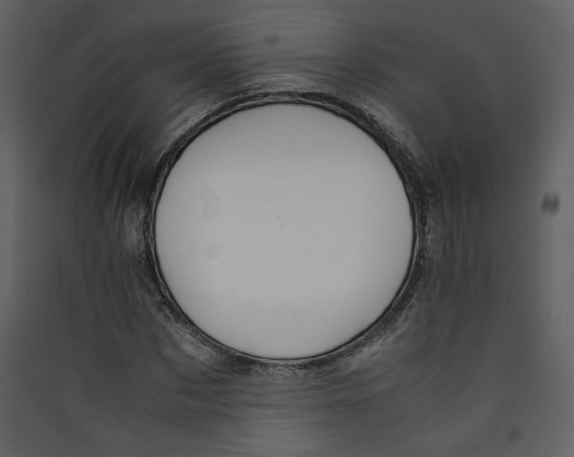 X0000089360873200707131613