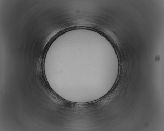 X0000089360875200707131613