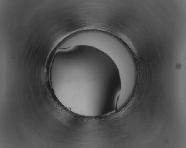 X0000089360876200707131613