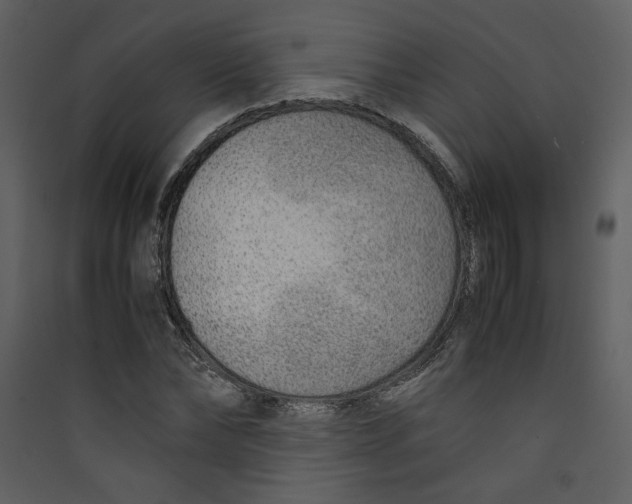 X0000089360878200707131613