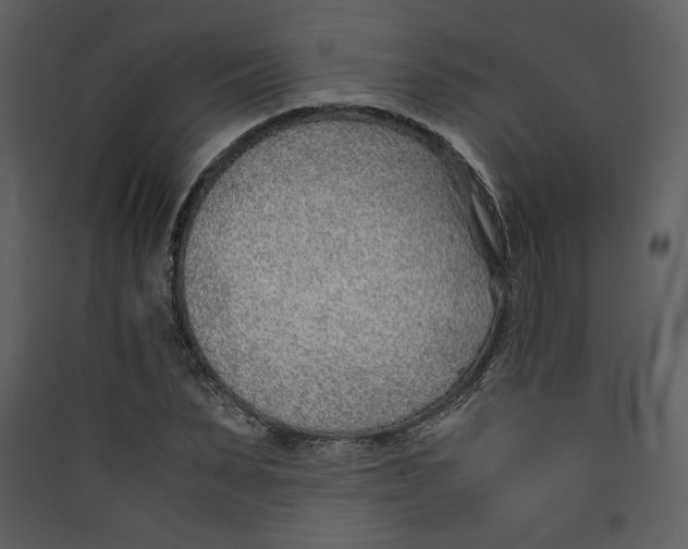 X0000089360879200707131613
