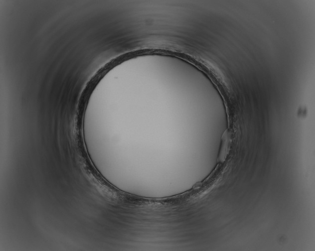 X0000089360880200707131613