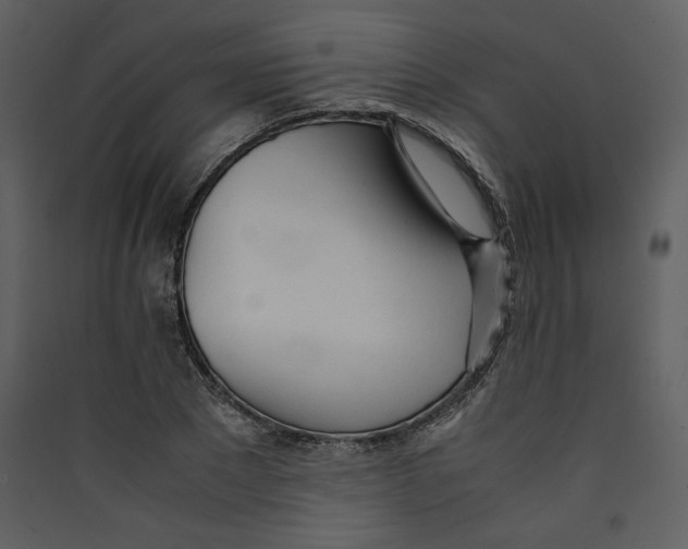 X0000089360881200707131613