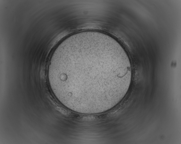 X0000089360882200707131613