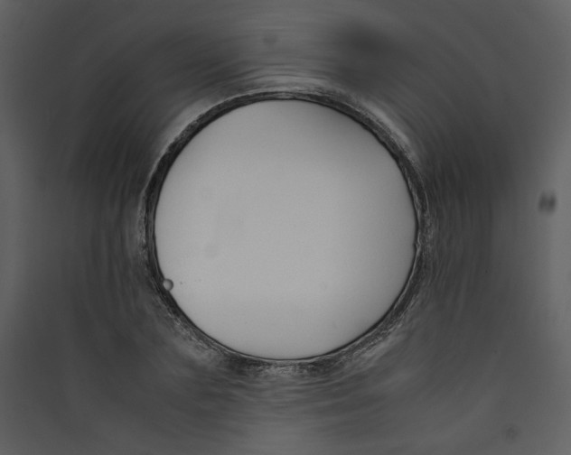 X0000089360883200707131613