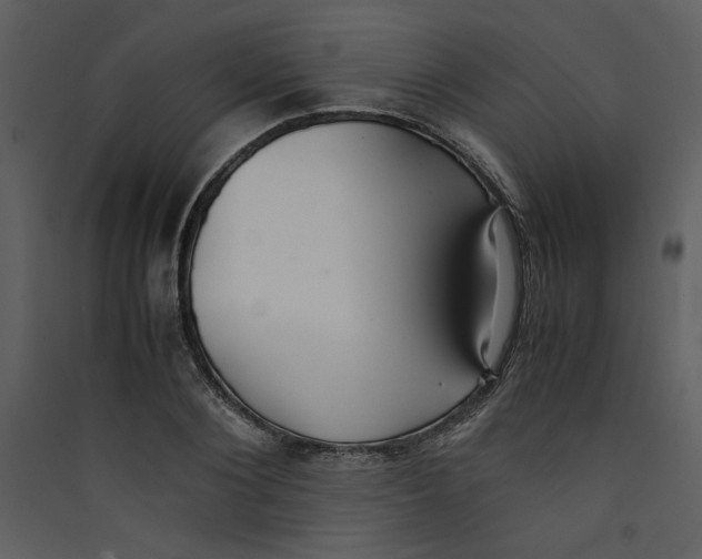 X0000089360884200707131613
