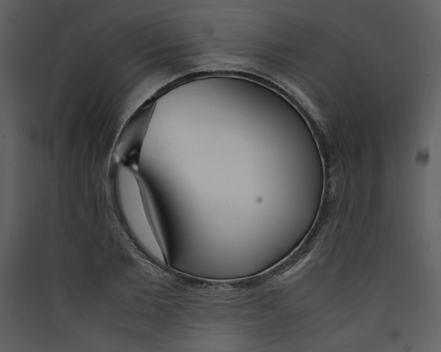 X0000089360885200707131613